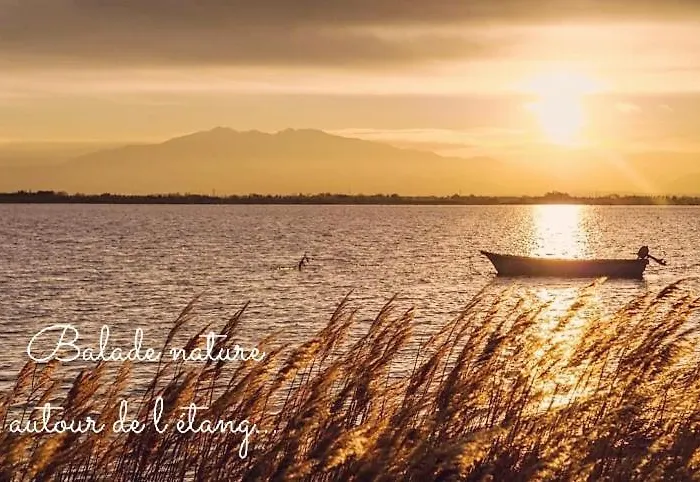 Apartament Balade Au Sud Le Barcarès