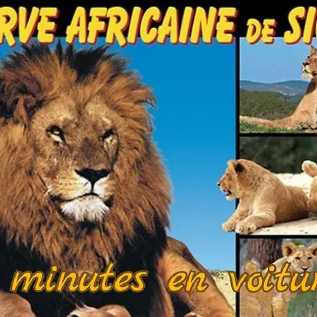 Balade Au Sud Le Barcares