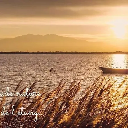 アパート Balade Au Sud Le Barcarès