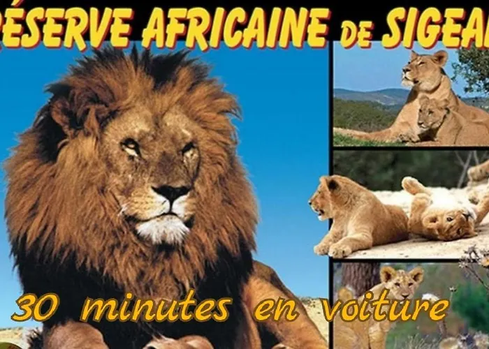 Balade Au Sud 르발카레스